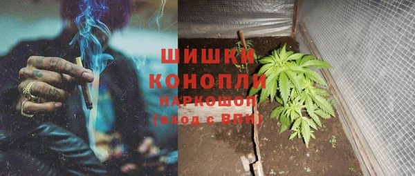 прущие крисы Козловка