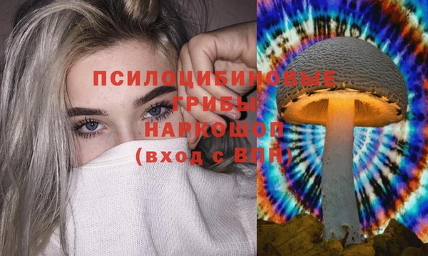 прущие крисы Кодинск